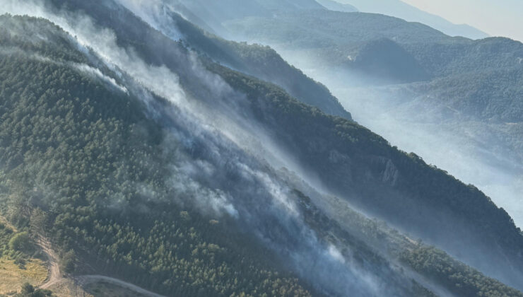 Balıkesir’deki orman yangınına müdahale sürüyor