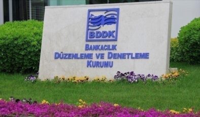 BDDK iki kuruluşa faaliyet müsaadesi verdi