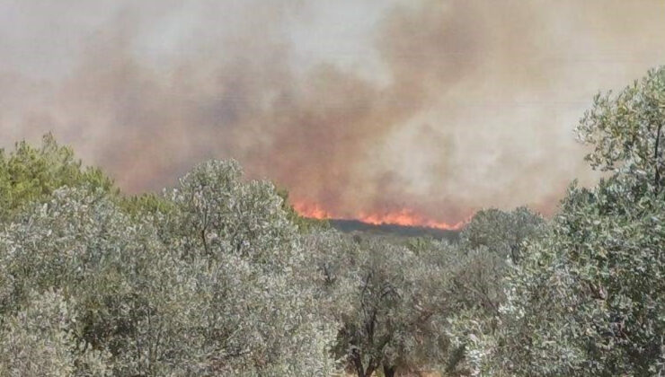 Çeşme’ye yangın alarmı: Ekiplerin müdahalesi sürüyor
