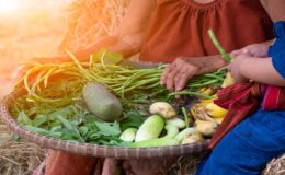 Doğa ile işbirliği: Permakültür