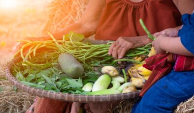 Doğa ile işbirliği: Permakültür