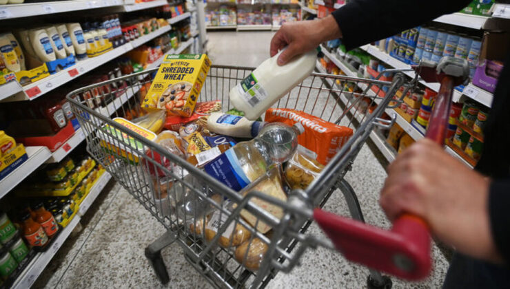 FAO: Global besin fiyatları yavaşça yükseldi