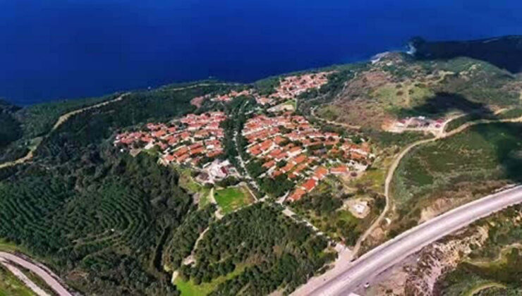 İzmir’de yangınlar sonrası yürek burkan kareler