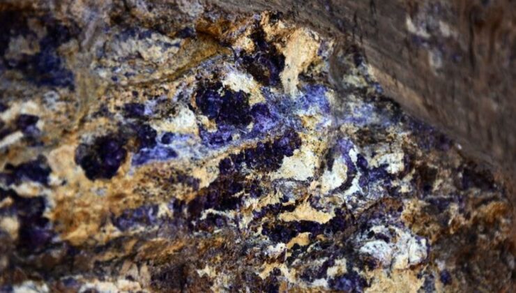 Japonya, ender toprak elementlerine erişim için Çin’den teminat bekliyor