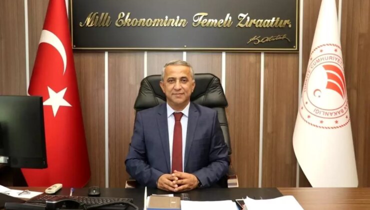 Kahverengi Kokarcamayla Mücadelede Kritik Dönem Başladı