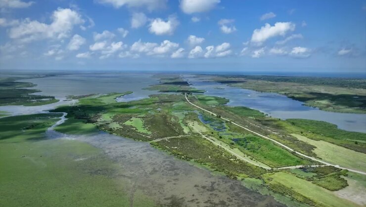 Kızılırmak Deltası Kuş Cenneti: Doğanın Büyüsü