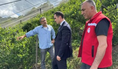 Samsun’da Yaban Mersini Bahçesi Kuruluyor
