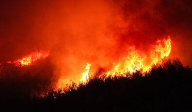 Türkiye, orman yangınlarıyla mücadele ediyor