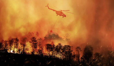 Türkiye’de ortaya çıkan yangınların yüzde 83’ü insan kaynaklı