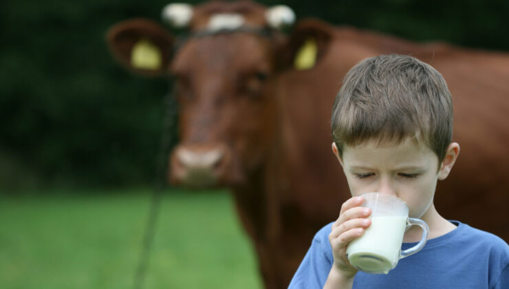 TÜSEDAD: Yüzde 7’lik artırım süt üreticisinin vefat fermanı