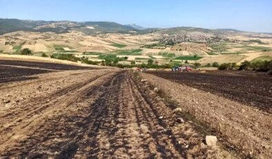 Vezirköprü Ziraat Odası’ndan Anız Yakılmasına Dikkat Çağrısı