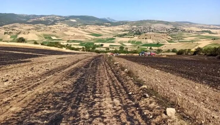 Vezirköprü Ziraat Odası’ndan Anız Yakılmasına Dikkat Çağrısı