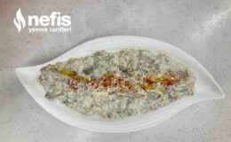 Yoğurtlu Köz Patlıcan Mezesi