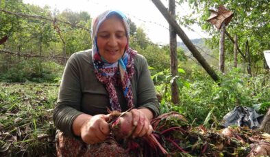 Giresun’un Dağ Köylerinde Kış Hazırlığı Başladı
