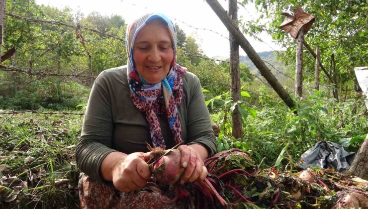 Giresun’un Dağ Köylerinde Kış Hazırlığı Başladı