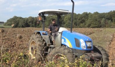 Bafra Ovası’nda 100 Bin Dekarlık Kışlık Sebze Sezonu Başladı