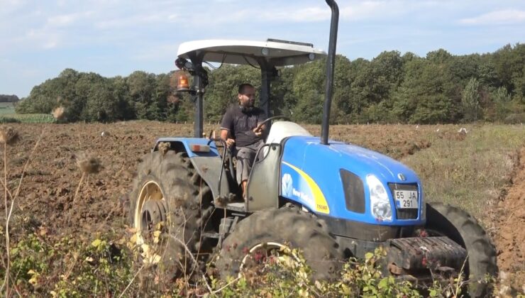 Bafra Ovası’nda 100 Bin Dekarlık Kışlık Sebze Sezonu Başladı