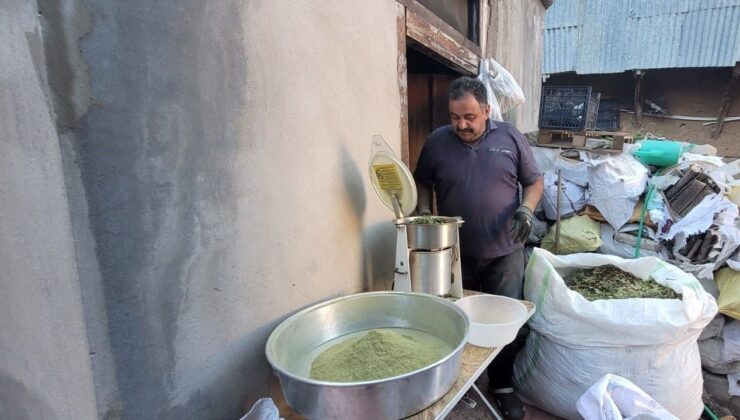 Bağışıklık güçlendirici etkisi var: Erzincanlılar binbir zahmet hazırlıyor