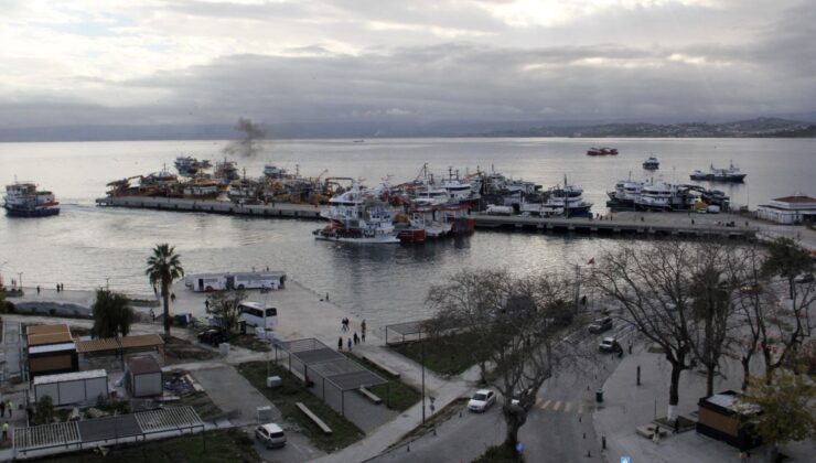 Balıkçıların yüzünü güldürdü: Karadeniz’in her tarafında var