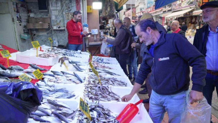 Samsun’da Balık Bolluğu: Hamsi Ucuzladı