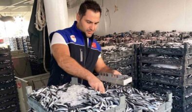 Samsun’da 1.8 Milyon Kilo Hamsi Kontrol Edildi