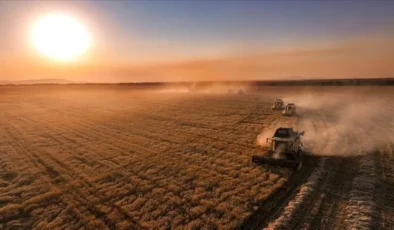 Çiftçilere 331.6 Milyon TL Ödeme Yapıldı