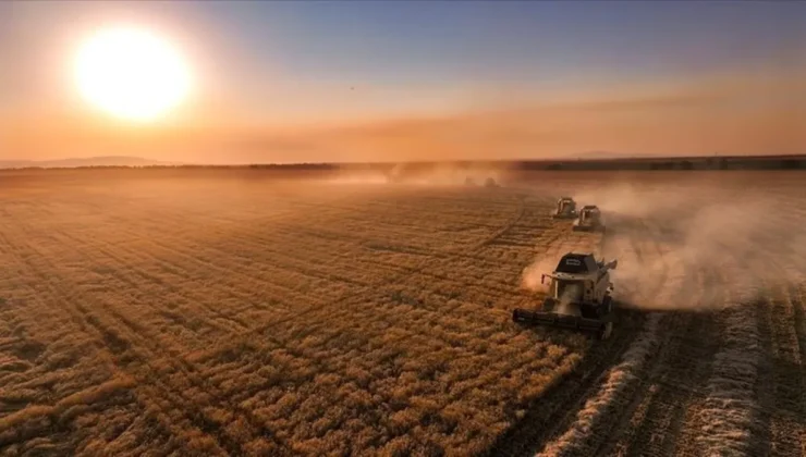 Çiftçilere 331.6 Milyon TL Ödeme Yapıldı