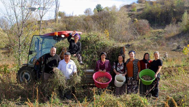 Samsun’dan Ladik Fasulyesiyle Dayanışma Köprüsü