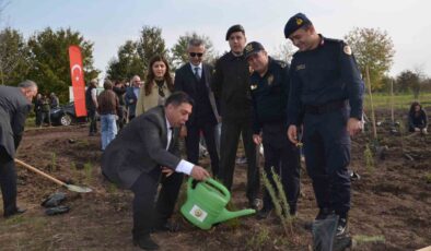 Samsun Bafra’da 11 Kasım’da 8 Bin Fidan Toprakla Buluştu