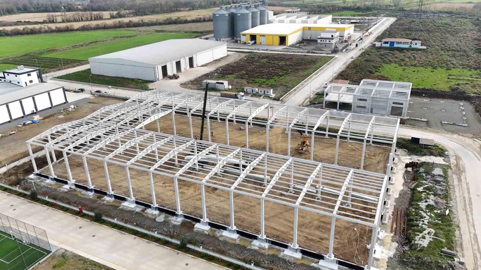 Samsun Gıda OSB’den 100’den Fazla Ülkeye İhracat Rekoru!