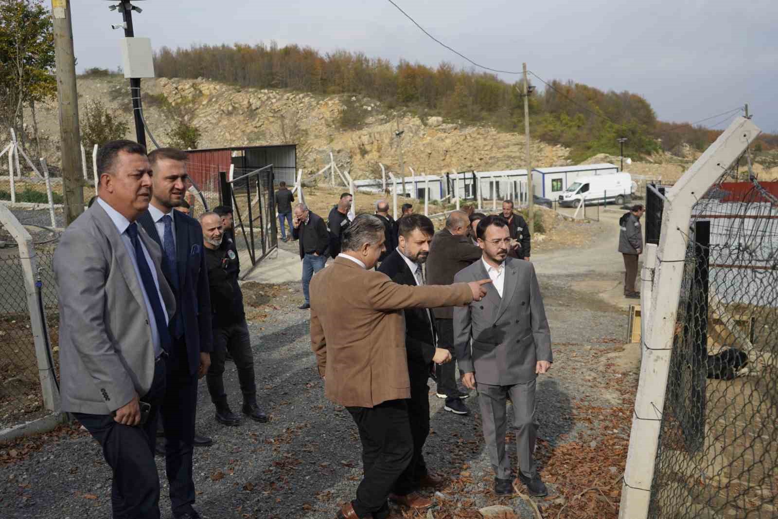 Samsun'da 9 Köpeğin Telef Olmasına