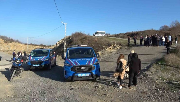 Samsun’da 9 Köpeğin Telef Olmasına Başkan Kurnaz’dan Sert Tepki: “Asla Kötü Muamele Olmaz”