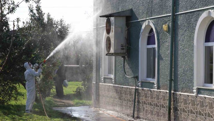 Terme’de Kahverengi Kokarca Alarmı: 850 Hane ve 623 Ahır İlaçlandı