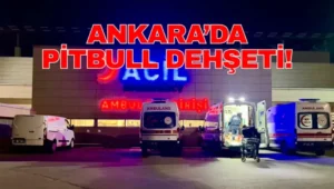 Ankara Etimesgut’ta Pitbull Dehşeti İki Kardeş Yaralandı