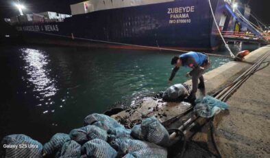 Samsun’da Midye Kaçakçılarına Ağır Ceza
