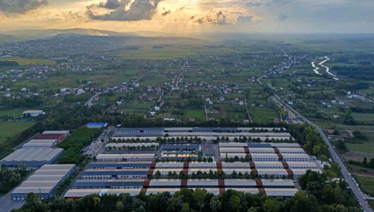Samsun Üniversitesi’nden Büyük Başarı: 7 Yaşında 7 Dalda Türkiye’nin Zirvesinde!