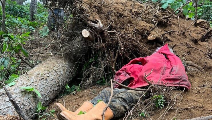 Trabzon Vakfıkebir’de Feci Kaza Kestiği Ağacın Altında Can Verdi